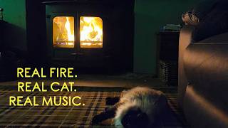 Two Hours of My Cat Sleeping By the Fire