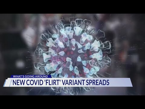 CDC warns of new COVID-19 variant: FLiRT