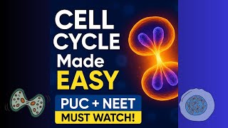 “Cell Cycle and Cell Division.  Easy Explanation in Simple Words”. Cell Cycle, Cell Division.