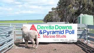 Download lagu Lot 113 Derella Downs & Pyramid Poll mp3