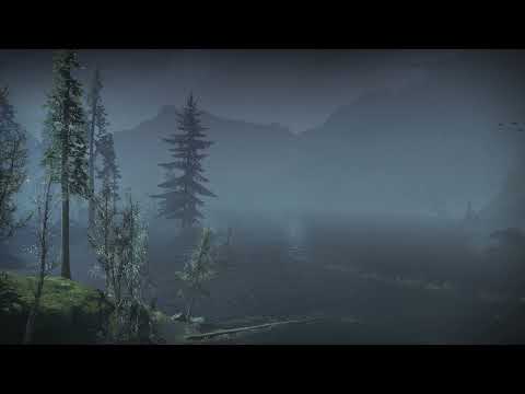 Destiny 2 B-Roll | European Deadzone Sunken Isles