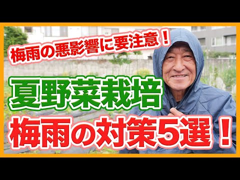 鉢やプランター内の湿度を保つ方法