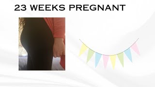 23 week pregnancy update