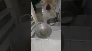 Download lagu dengarkan suaranya maseeh #video #videoshort #happy 😄😄😄😂😀😀 mp3 Download lagu dengarkan suaranya maseeh #video #videoshort #happy 😄😄😄😂😀😀 mp3
