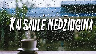MUZIKA KAI SAULĖ NEDŽIUGINA