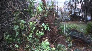 Salt Lake City Winds (the winds of change)