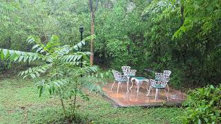 Download lagu Relaxing Video Natural raining sound  mp3
