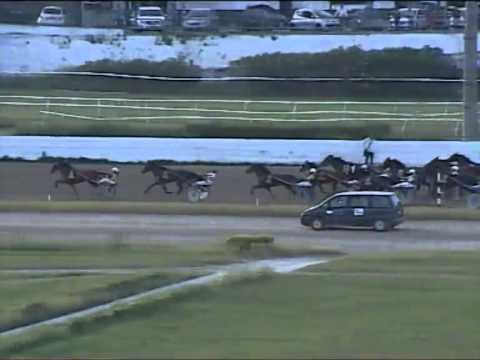 Trotto 05/06/2014 Corsa 8