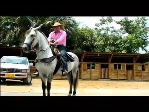 ORGULLO CAQUETEÑO(ANTHONY ZAMBRANO)