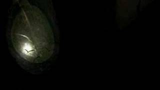 Brian Eno H.Budd The Plateaux of Mirror