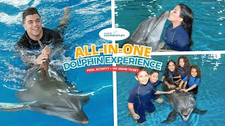 Majestic Swim with Dolphins - Website