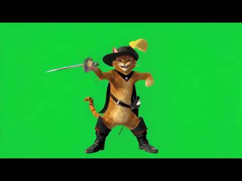 The musketeer cat wields his sword 4K green screen #vfxassets #greenscreen