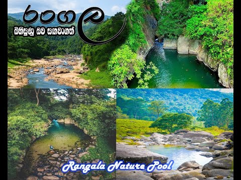 Galabodawatta Nature Pool | Kandy | Srilanka 🇱🇰 | Travel with Dhanushka