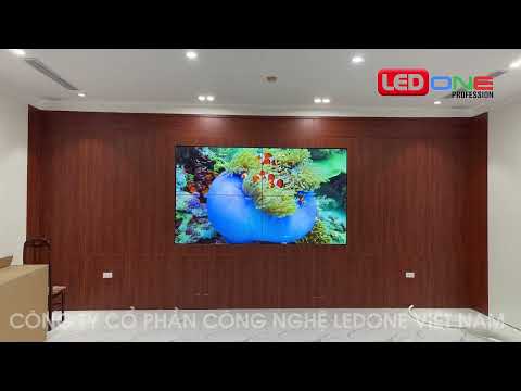 Cục Hàng Hải Việt Nam | Ledone thi công gói thầu dự án màn hình ghép LG 55inch phòng Họp trực tuyến