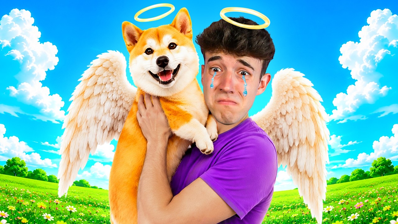 ¿Todos Los Perritos Van Al Cielo?