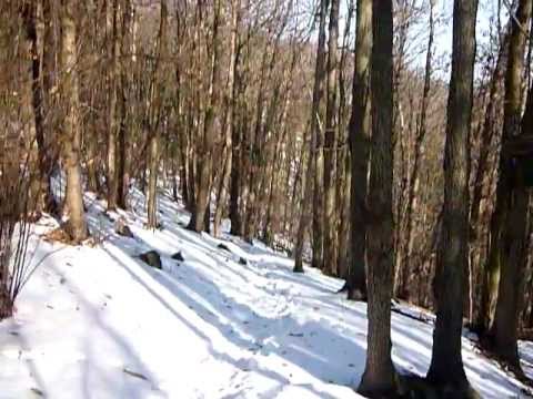 Neve nel Sentiero G. Lorenzoni (500 - 550 m.s.l.m.) sul Monte Venda - Colli euganei.