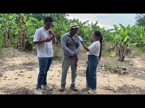 Entrevista del sector agrícola en Curumani-Cesar