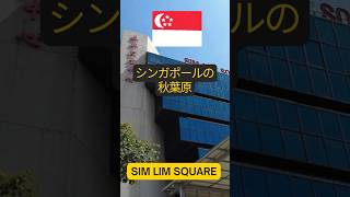 シンガポール最強の電気街【Sim Lim Square】まるで秋葉原 #shorts #シンガポール #シンガポール生活 #singapore #singaporelife #simlim #旅行