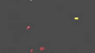 Superstar Music Fest