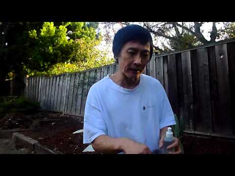 Cheap Allergy Relief and Easy Natural Allergies Remedies