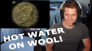 Chris REACTS to Dance Gavin Dance - Hot Water On Wool