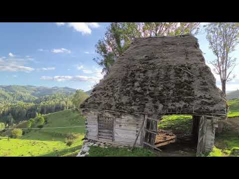 Rozosin and Relax prin România