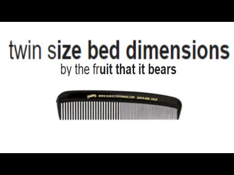 Twin Size Bed Dimensions [Google autocomplete]