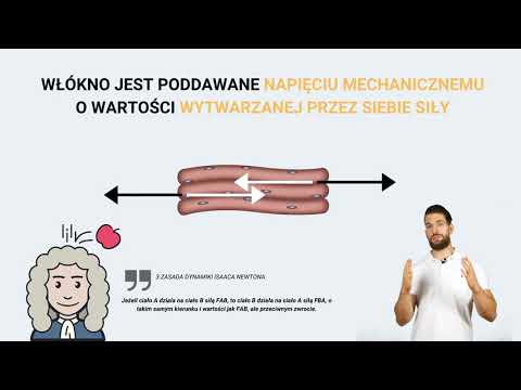 *KIEDY ROSNĄ MIĘŚNIE* - w jakich sytuacjach osiągamy istotny bodziec wzrostu mięśni?