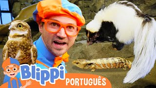 Blippi Alimenta os Animais do Zoológico! 🦎 Melhores Episódios 🟠 Vídeos Educativos para Crianças