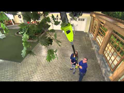 Sun Joe Electric Multi-Angle Telescopic Pole Chain Saw with Albany Irvin