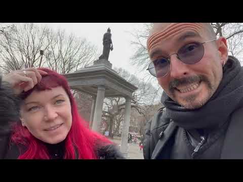 Tauben in New York 🌇