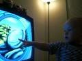 Baby Angel Interacting With Go Diego Go
