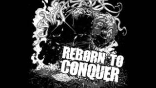 Reborn To Conquer - I Stand Here