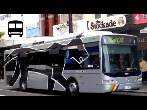 Mercedes-Benz OC500LE CNG (11.5m) - Perth Blue CAT Bus (Part Two)