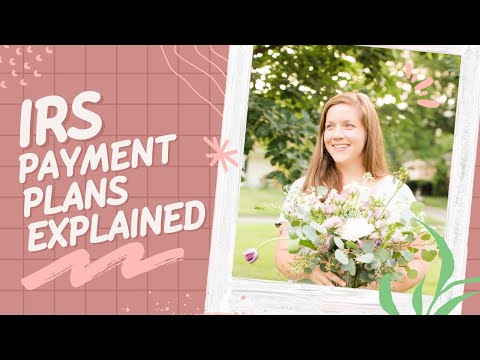 Tax Payment Plans: A Safety Net for Struggling Taxpayers