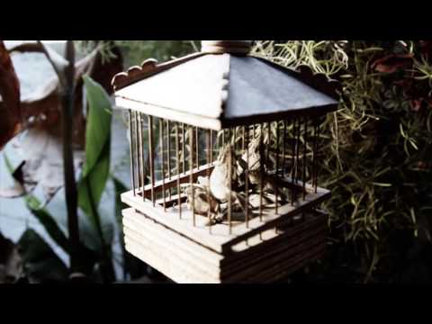 #EstrenoT3 Maestros olvidados: Marusia Estrada