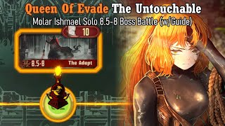 [Limbus Company] Nothing Beats a Queen of Evade!!! - 8.5-8 Molar Ishmael Solo Guide