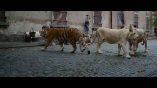 the zookeepers wife torrent the zookeepers wife torrent