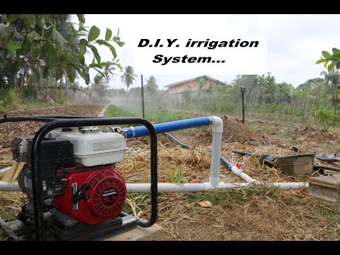 image-Which water pump is best for agriculture?