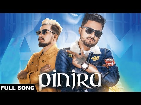 Pinjra — watch video