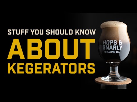 Stuff You Should Know About Kegerators Feat. Newair Single Tap Kegerator