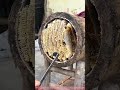 Harvesting Honey from a Traditional Log Hive