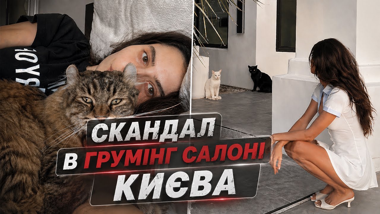 Грумінг: правда, про яку не говорять власникам тварин