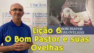 Sunday School Lesson 6 The Good Shepherd and His Sheep Class Summary