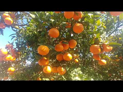 21 de febrero de 2020