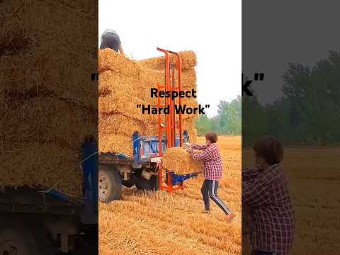 Paddy straw bundles lift machine|Paddy straw bundles loading#farming#trending#viralshorts