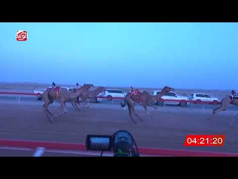  ش 3 (الدرع) لـ محمد الغبشي سالم الكتبي 6:33:10 , شارة الديوان 1 2026/09/13 ايذاع الوقن