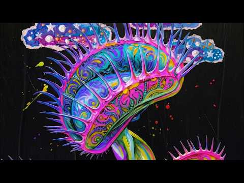 Primo Amore - Alessandro Mannarino