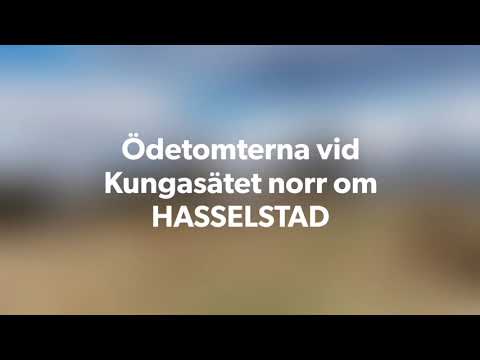 ÖDETOMTERNA vid KUNGASÄTET norr om HASSELSTAD (Kallinge) - 210414 (Huawei P30 PRO) - RONNEBY