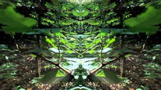 SniperShot - Walkin On Clouds